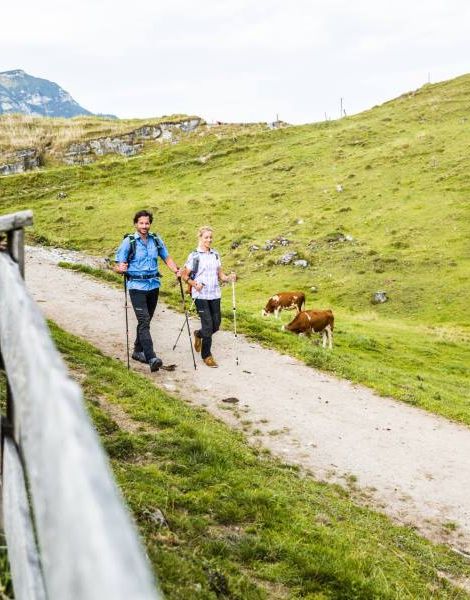 Wanderer am Berg mit Kühe